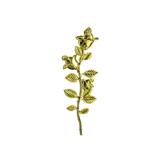 Polypropylene Coffin Ornaments Gold Plated