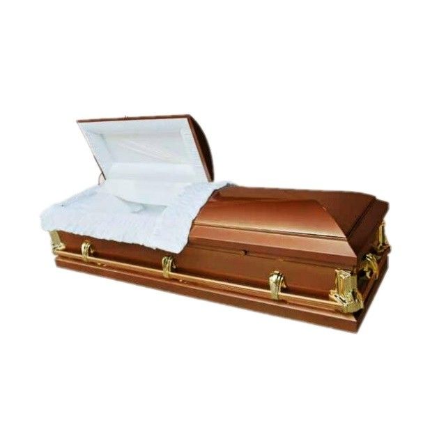 PP ABS Plastic Coffin Accessories With Stationary Handles Gold Plated